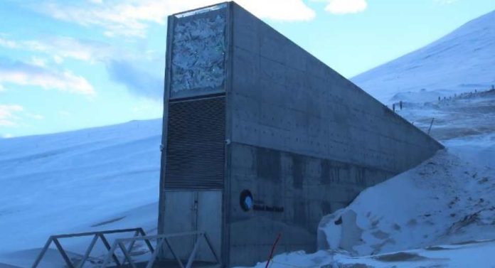 Noruega La Bóveda Global de Semillas de Svalbard en Noruega, protege las semillas que podrían sostener la comida del futuro Noruega La Bóveda Global de Semillas de Svalbard en Noruega, protege las semillas que podrían sostener la comida del futuro