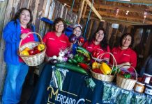 Ñuble avanza en diálogo territorial para una agricultura más sustentable