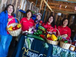 Ñuble avanza en diálogo territorial para una agricultura más sustentable