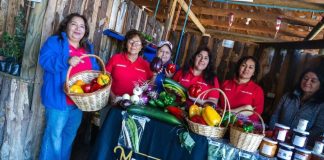 Ñuble avanza en diálogo territorial para una agricultura más sustentable