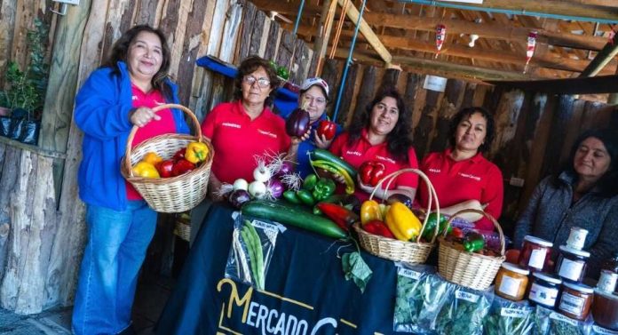 Ñuble avanza en diálogo territorial para una agricultura más sustentable