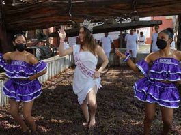 PROMPERÚ lanza el Festival Internacional de la Vendimia Región Ica 2026 para fortalecer el enoturismo y la gastronomía local