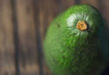Postcosecha de la palta y la necesidad de contar con barreras naturales contra antracnosis y pudrición peduncular