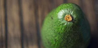 Postcosecha de la palta y la necesidad de contar con barreras naturales contra antracnosis y pudrición peduncular