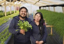 Primera Política Nacional de Juventudes Rurales busca garantizar "el derecho a elegir" el campo