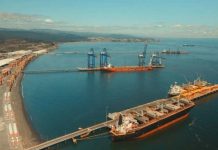 Puerto Coronel consolida envíos de cerezas del Maule a Corea del Sur