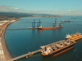 Puerto Coronel consolida envíos de cerezas del Maule a Corea del Sur