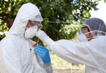 SAG confirma caso de influenza aviar H5N1 en aves silvestres en la región de Valparaíso