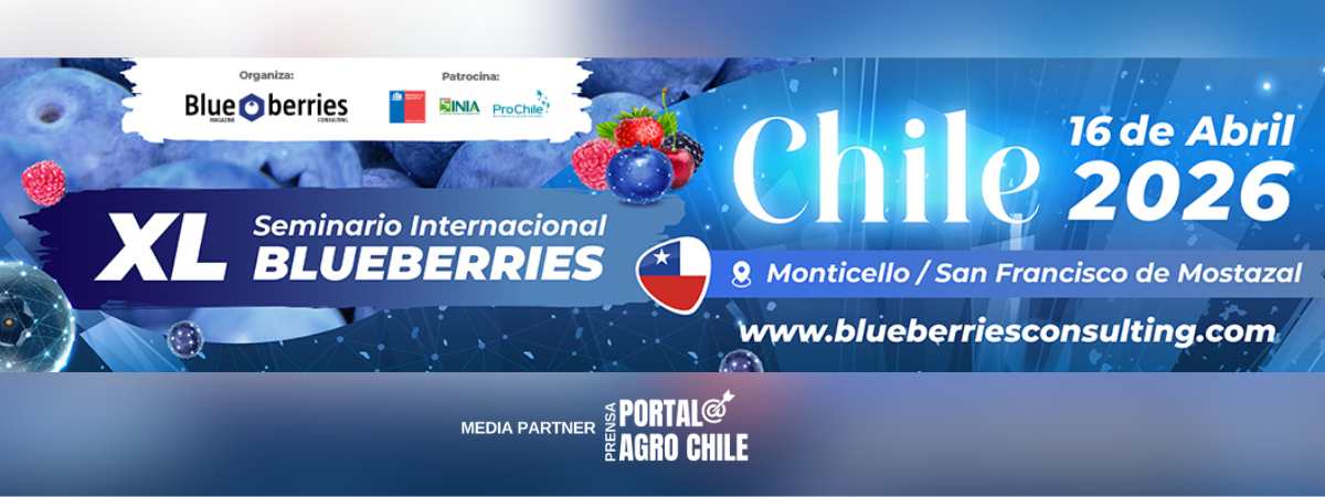Seminario Internacional Blueberries Chile 2026