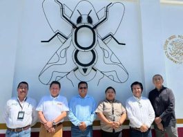 Tras visita a México: Frutas de Chile destaca aumento de las exportaciones y cooperación en materia de control de plagas Tras visita a México: Frutas de Chile destaca aumento de las exportaciones y cooperación en materia de control de plagas