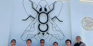 Tras visita a México: Frutas de Chile destaca aumento de las exportaciones y cooperación en materia de control de plagas