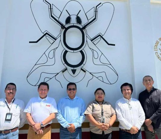 Tras visita a México: Frutas de Chile destaca aumento de las exportaciones y cooperación en materia de control de plagas