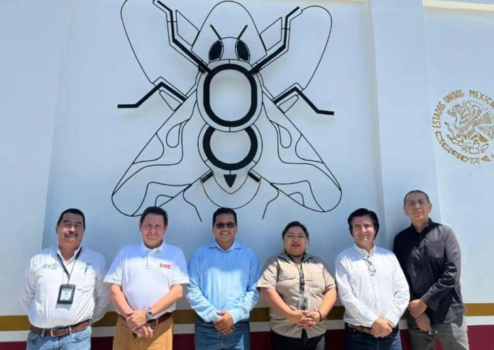 Tras visita a México: Frutas de Chile destaca aumento de las exportaciones y cooperación en materia de control de plagas