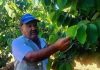 Un verdadero oasis es el huerto sustentable que el agricultor Hugo Carmona posee en la comuna de Andacollo