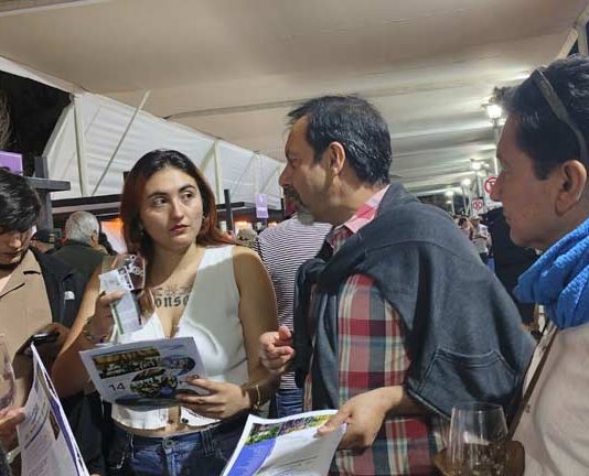 Vendimia 2026: más de 20 viñas del Valle de Colchagua fortalecen su gestión hídrica