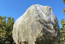 Innovación en el Sur: Zimex evalúa el impacto de la Polinización Asistida en Avellano Europeo mediante sistemas de Mallas de Cosecha Innovación en el Sur: Zimex evalúa el impacto de la Polinización Asistida en Avellano Europeo mediante sistemas de Mallas de Cosecha