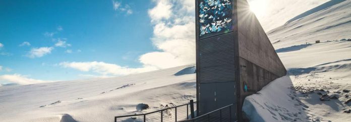 El futuro de la aceituna está asegurado: ya hay semillas de olivo en la ‘bóveda del fin del mundo’ del Ártico El futuro de la aceituna está asegurado: ya hay semillas de olivo en la ‘bóveda del fin del mundo’ del Ártico