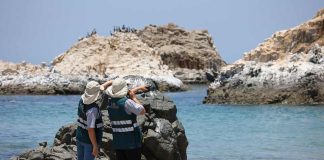 SAG confirma caso de influenza aviar H5N1 en aves de traspatio en la región de Valparaíso