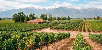 Las 5 mejores empresas para obtener leasing de maquinaria agrícola en Chile en 2026