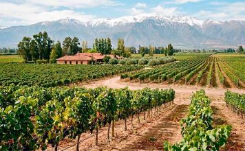 Las 5 mejores empresas para obtener leasing de maquinaria agrícola en Chile en 2026