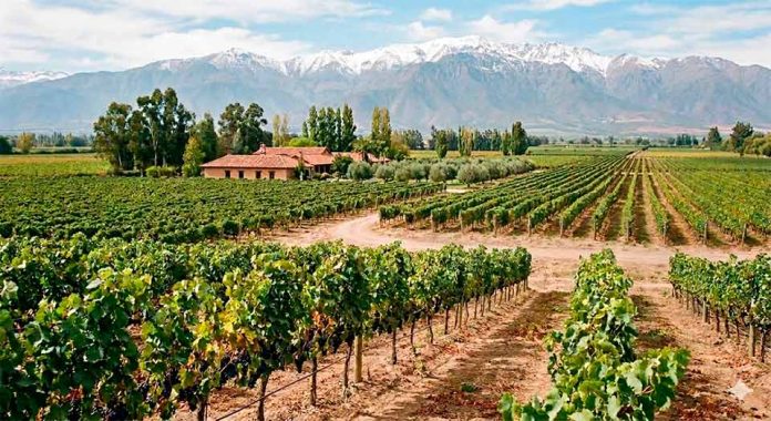 Las 5 mejores empresas para obtener leasing de maquinaria agrícola en Chile en 2026