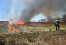 CONAF llama a respetar el calendario de quemas para prevenir incendios forestales