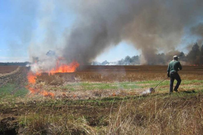 CONAF llama a respetar el calendario de quemas para prevenir incendios forestales